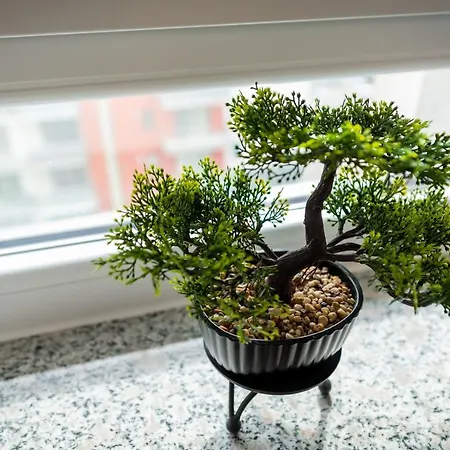 Coresi Vibe Appartamento *