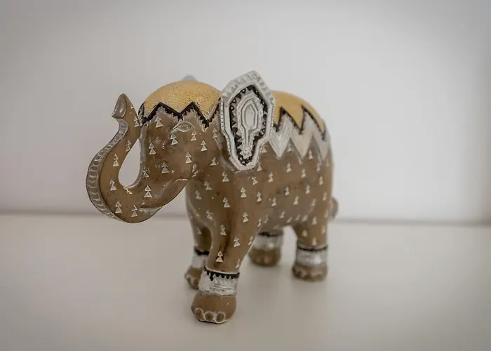 Coresi Vibe Apartment *