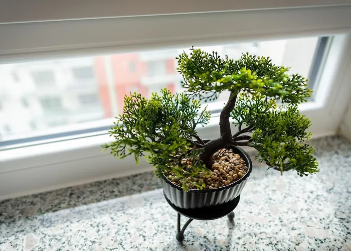 Coresi Vibe Apartment *